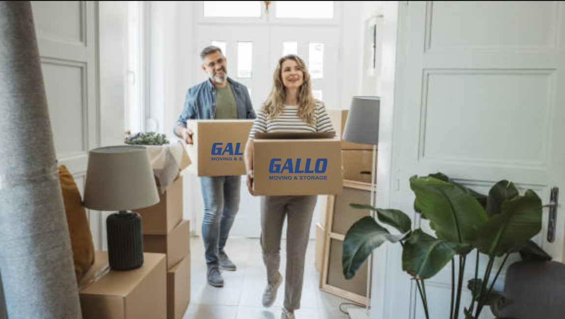 Couple carrying Gallo Moving box through a home